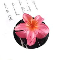 Sweet Flower Transparent Plastic Resin Hair Claws sku image 3