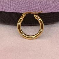 1 Pair Streetwear Solid Color Plating Titanium Steel Hoop Earrings main image 4