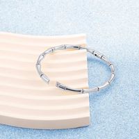 Simple Style Bamboo Stainless Steel Plating Bangle main image 4