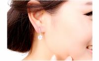1 Pair Casual Shiny Round Plating Inlay Copper Crystal Zircon Drop Earrings main image 3