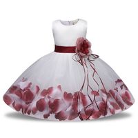 Princess Flower Polyester Girls Dresses main image 4