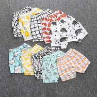 Casual Animal Plaid Fruit Cotton Boys Pants main image 6