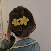 Simple Style Flower Arylic Hair Clip main image 3