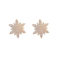 1 Pair Elegant Lady Heart Shape Flower Plating Inlay Alloy Zircon Earrings main image 5