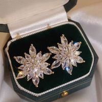 1 Pair Elegant Lady Heart Shape Flower Plating Inlay Alloy Zircon Earrings main image 1