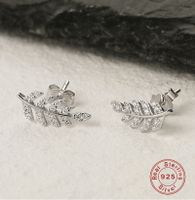 1 Pair Elegant Luxurious Queen Leaf Leaves Plating Inlay Sterling Silver Zircon White Gold Plated Ear Studs main image 5