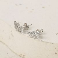 1 Pair Elegant Luxurious Queen Leaf Leaves Plating Inlay Sterling Silver Zircon White Gold Plated Ear Studs main image 4