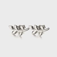 1 Pair Simple Style Classic Style Leaf Plating Sterling Silver White Gold Plated Ear Studs main image 2