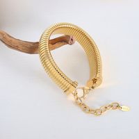 Wholesale Simple Style Solid Color Titanium Steel Plating Gold Plated Bracelets Necklace main image 6