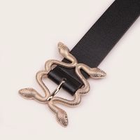 Retro Punk Snake Pu Leather Alloy Women's Leather Belts main image 4