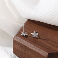 1 Pair Simple Style Starfish Inlay Sterling Silver Zircon Ear Studs main image 5