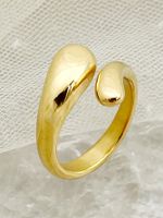 304 Stainless Steel 14K Gold Plated Retro Simple Style Plating Snake Rings main image 1