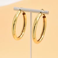 1 Pair Classic Style Commute Round Iron Hoop Earrings main image 4