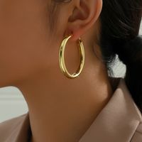1 Pair Classic Style Commute Round Iron Hoop Earrings main image 2