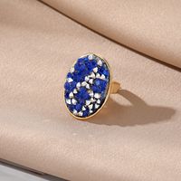 Wholesale Jewelry Vacation Oval Alloy Resin Open Ring sku image 1
