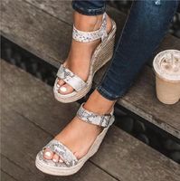 Women's Casual Solid Color Round Toe Ankle Strap Sandals main image 5