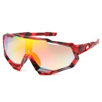 Hawaiian Simple Style Color Block Pc Toad Glasses Full Frame Sports Sunglasses main image 3