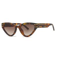 Retro Streetwear Leopard Ac Cat Eye Full Frame Women's Sunglasses main image 4