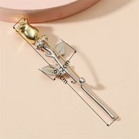 Romantic Rose Alloy Plating Women's Brooches main image 2