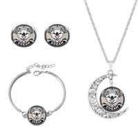 Roman Style African Style Animal Alloy Plating Inlay Glass Silver Plated Women's Jewelry Set sku image 7