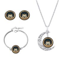 Roman Style African Style Animal Alloy Plating Inlay Glass Silver Plated Women's Jewelry Set sku image 16