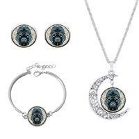 Roman Style African Style Animal Alloy Plating Inlay Glass Silver Plated Women's Jewelry Set sku image 18