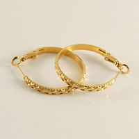 1 Pair Modern Style Simple Style Solid Color Plating Stainless Steel Titanium Steel 18K Gold Plated Hoop Earrings main image 5