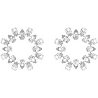 Glam Circle Water Droplets Alloy Inlay Artificial Crystal Women's Earrings main image 3