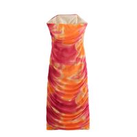 Women's Sheath Dress Elegant Strapless Printing Sleeveless Color Block Maxi Long Dress Street main image 3