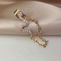 Cool Style Animal Snake Metal Plating Inlay Zircon Gold Plated Women's Drop Earrings main image 4