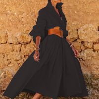 Women's A-line Skirt Casual Turndown Long Sleeve Solid Color Maxi Long Dress Street main image 3