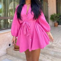 Women's A-line Skirt Streetwear Standing Collar Long Sleeve Solid Color Above Knee Holiday Street main image 3