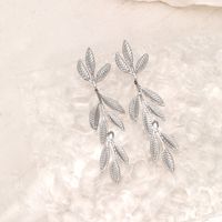 1 Pair Simple Style Leaves Plating Stainless Steel Drop Earrings main image 5