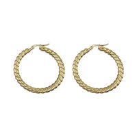 1 Pair Simple Style Round Polishing Plating 304 Stainless Steel 14K Gold Plated Hoop Earrings main image 6