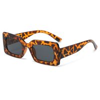 Simple Style Solid Color Leopard Ac Oval Frame Full Frame Women's Sunglasses sku image 5