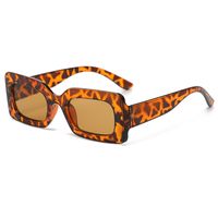 Einfacher Stil Einfarbig Leopard Ac Ovaler Rahmen Vollbild Sonnenbrille Der Frauen sku image 2