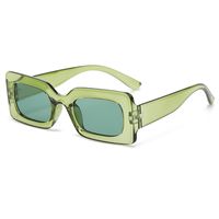 Einfacher Stil Einfarbig Leopard Ac Ovaler Rahmen Vollbild Sonnenbrille Der Frauen sku image 5
