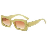 Einfacher Stil Einfarbig Leopard Ac Ovaler Rahmen Vollbild Sonnenbrille Der Frauen sku image 11