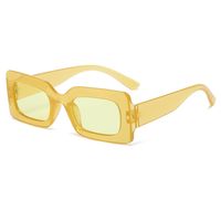 Einfacher Stil Einfarbig Leopard Ac Ovaler Rahmen Vollbild Sonnenbrille Der Frauen sku image 15