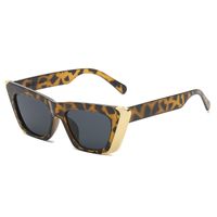 Modern Style Solid Color Ac Cat Eye Full Frame Women's Sunglasses sku image 4