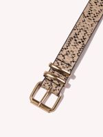 Classic Style Snakeskin Leopard Pu Leather Women's Leather Belts main image 4