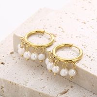 1 Pair Vintage Style French Style Round Pearl Plating Stainless Steel 18K Gold Plated Drop Earrings main image 8