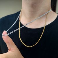 Strassenmode Einfarbig Rostfreier Stahl Überzug Männer Halskette main image 1