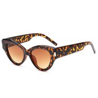 Modern Style Classic Style Streetwear Geometric Pc Cat Eye Full Frame Women's Sunglasses main image 4