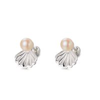 1 Paire Style Simple Coquille Placage Perle D'eau Douce Argent Sterling Boucles D'oreilles sku image 1