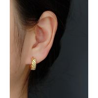 1 Pair Simple Style Geometric Sterling Silver Earrings main image 5