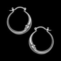1 Pair Simple Style Moon Plating Alloy Earrings sku image 2