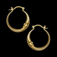 1 Pair Simple Style Moon Plating Alloy Earrings main image 1