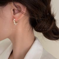 1 Paar Elegant Geometrisch Inlay Kupfer Künstliche Perlen Ohrringe main image 5