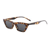 Lady Square Ac Square Full Frame Women's Sunglasses main image 3